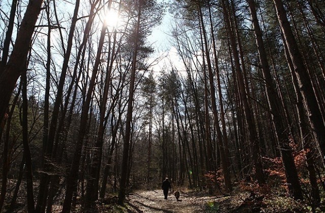 Времето на 9 април: Слънчево, но идва дъжд