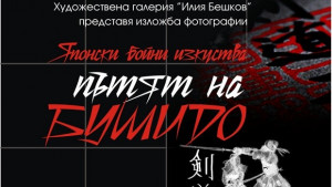 Фотоизложба представя пет вида японски бойни изкуства