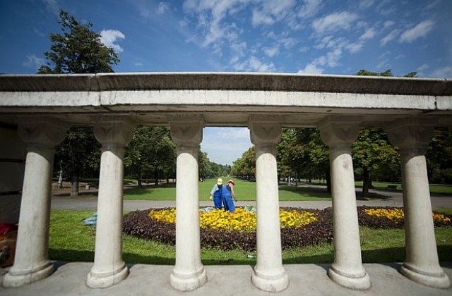 Организират протест „Да спрем незаконното съсипване на Борисовата градина”