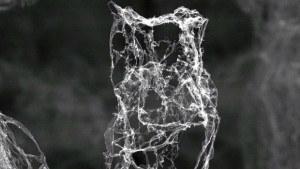 Нанобомба мори рака