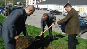 Нови 30 фиданки ще красят два жилищни комплекса във Враца