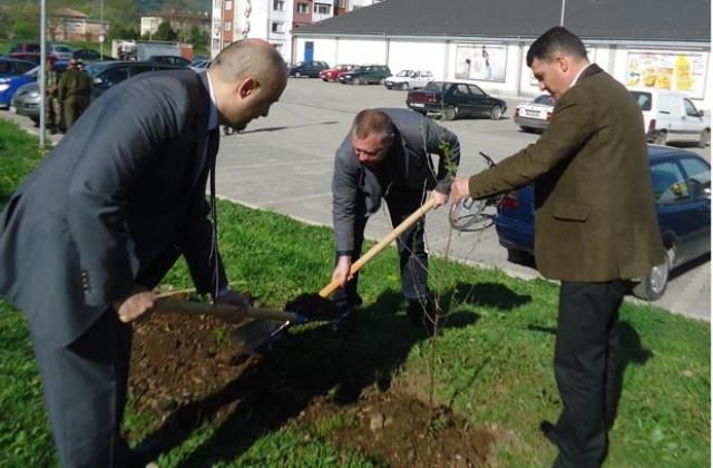 Нови 30 фиданки ще красят два жилищни комплекса във Враца