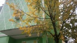 Концерт и награди за Седмицата на гората в Кюстендил