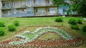 Търси се найдобре поддържаното междублоково пространство