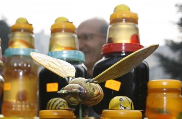 Пчелари: Държавата натика сектора в ъгъла