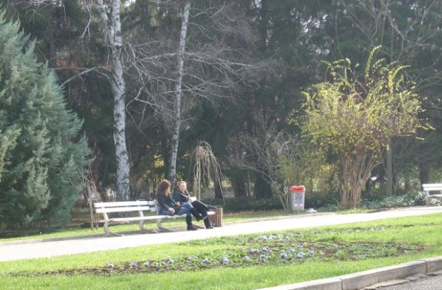 Детска работилница по цветарство в парка на Цветница