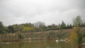 Добричкият зоопарк е един от спасителните центрове за диви животни