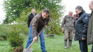 Залесиха 30 фиданки в парк Лакото на Арбанаси