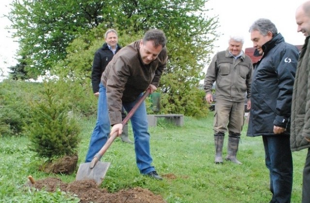 Залесиха 30 фиданки в парк Лакото на Арбанаси