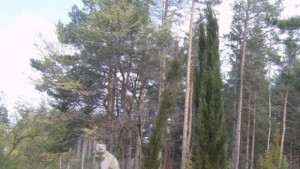 Кампания по залесяване на Тюлбето в Седмицата на гората