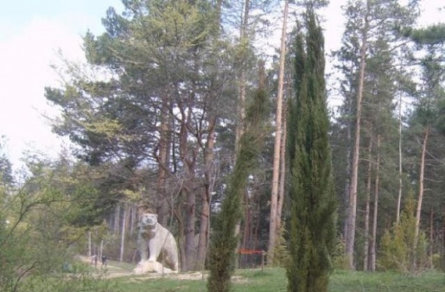 Кампания по залесяване на „Тюлбето“ в Седмицата на гората