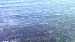 Дъждовно до юли после топло и сухо