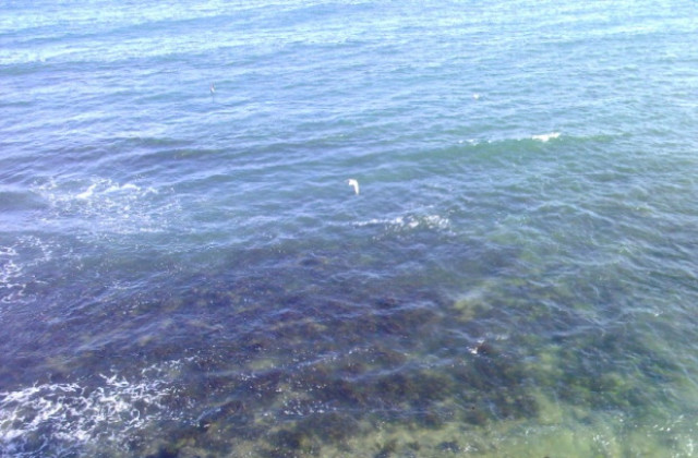 Дъждовно до юли, после топло и сухо