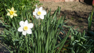 Слънчево слабо се затопля