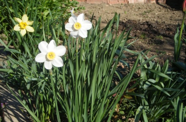 Слънчево, слабо се затопля