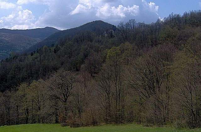 Предимно слънчево