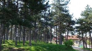 10 безработни ще поддържат лесопарк Бунджовица в Червен бряг