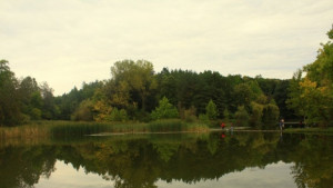 Резиденция на Тато отива на търг