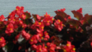 Имотна сделка в САЩ постави рекорд