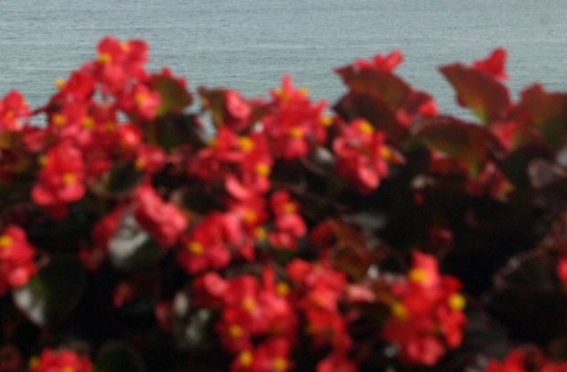 Имотна сделка в САЩ постави рекорд