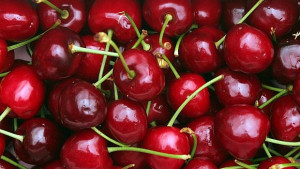 Цената на череши от турско село гони 80 евро за