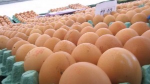 Яйцето задължително трябва да има маркировка Няма нарушения с оцветителите