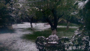 Сняг изненада София