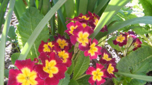 Топло температурите скачат над 20