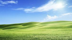 Платиха рекордна цена за земеделски имот в Крумово