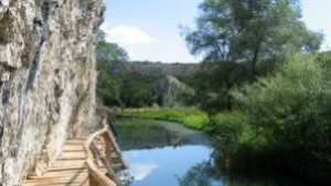 Зелени градове бе мотото на тазгодишната кампания за Деня на