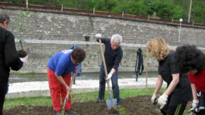 Всеки тревненец да засади дръвче в градината си призоваха от