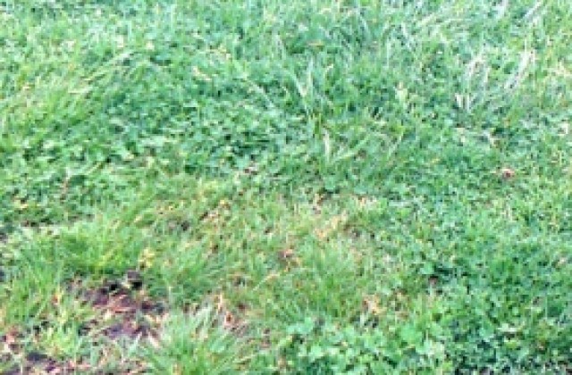 Орела отвратен от терена, Спартак гони 3 победи в оставащите мачове