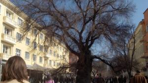Ролята на НПО в подкрепа на здравеопазването обсъждат в Сливен