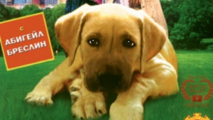 Семейна покана за кино