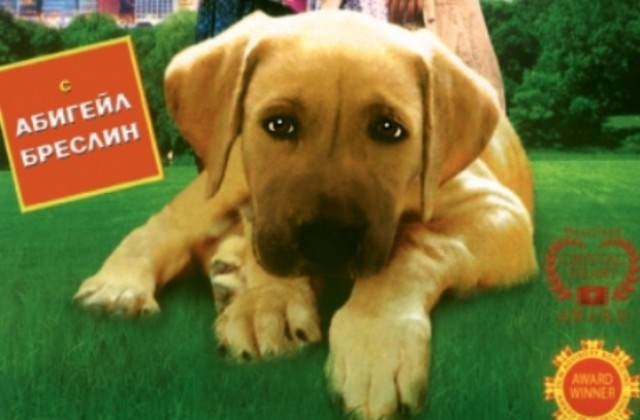 Семейна покана за кино