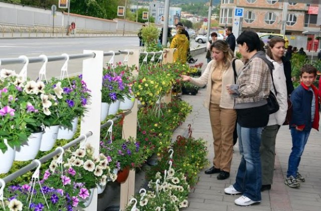 Варна е цветният център на България с откриването на Grand Флора 2014