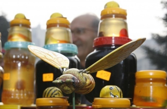 Елена домакинства двудневна пчеларска конференция