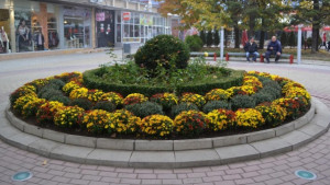 1015 тона отпадъци бяха депонирани в Казанлък