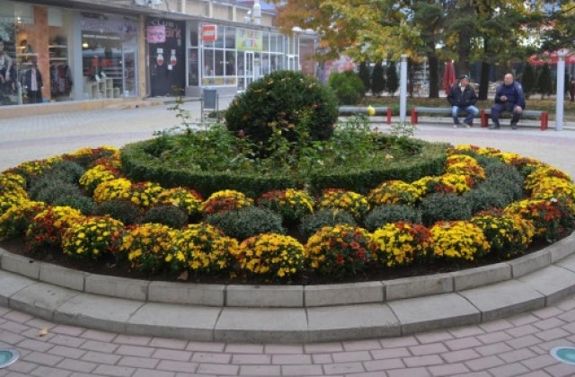 1015 тона отпадъци бяха депонирани в Казанлък