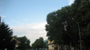 Пролетно косене на зелените площи извършват в ГенТошево