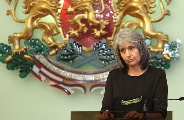 Маргарита Попова обвини политиците за случая „Розово”