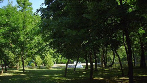 Пръскат срещу кърлежи