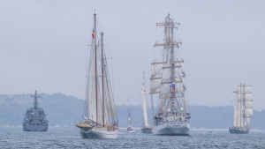 Парадът на ветрилата от небето ВИДЕО