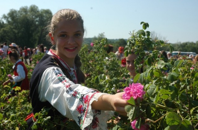 България изнася ликьор от рози и розова ракия, но вкусът у нас остава непознат