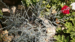 Облачността ще се разкъсва