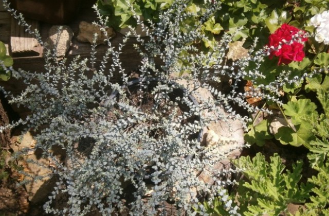 Облачността ще се разкъсва