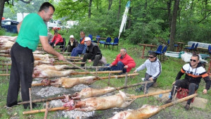 Хадерлез и стотици чевермета край Широка поляна