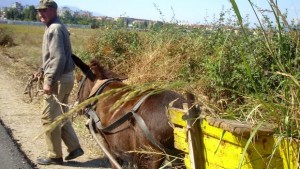 Рехабилитират път в Петричко
