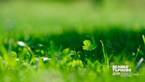 МултиКулти пикник в парк Дружба за Деня на Европа