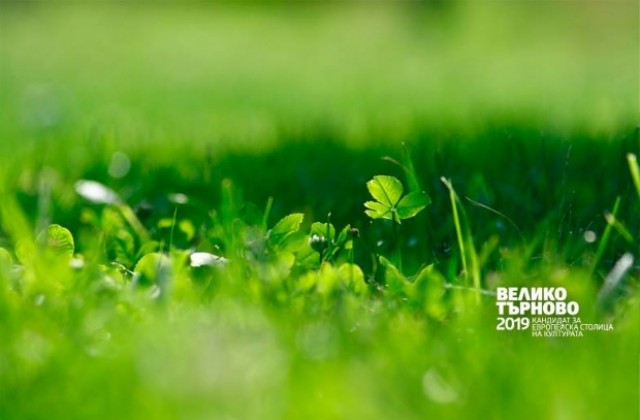 МултиКулти пикник в парк Дружба за Деня на Европа